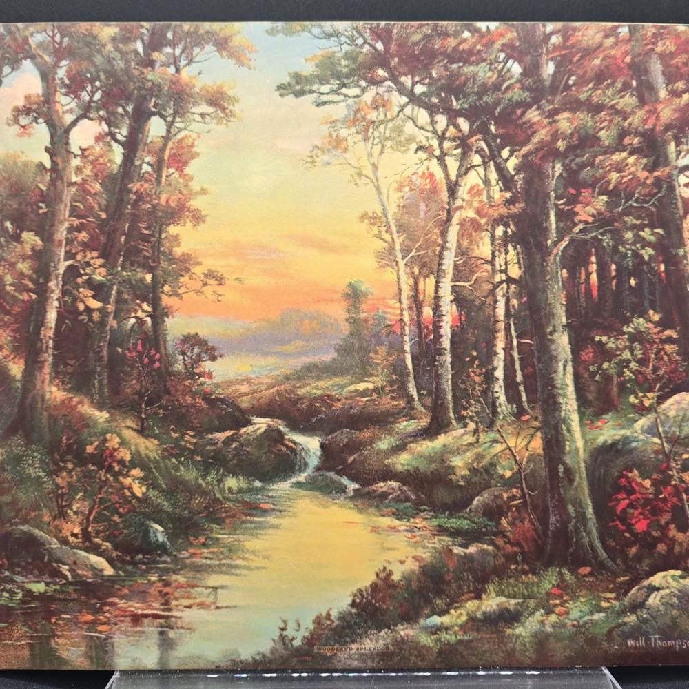 Woodland Splendor Will Thompson
